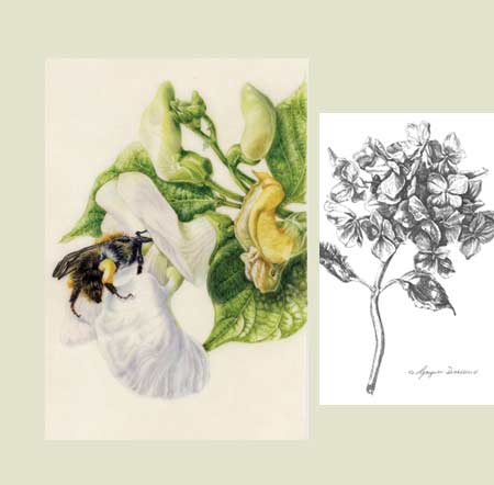 Chichester Art Trail / Garden Art and Sculpture